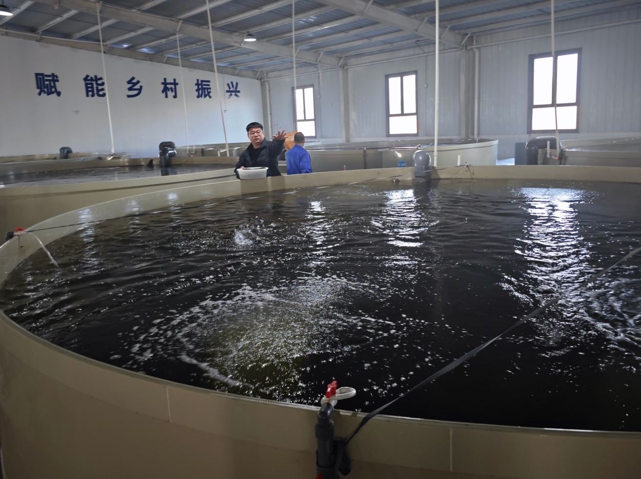 特色养殖助增收